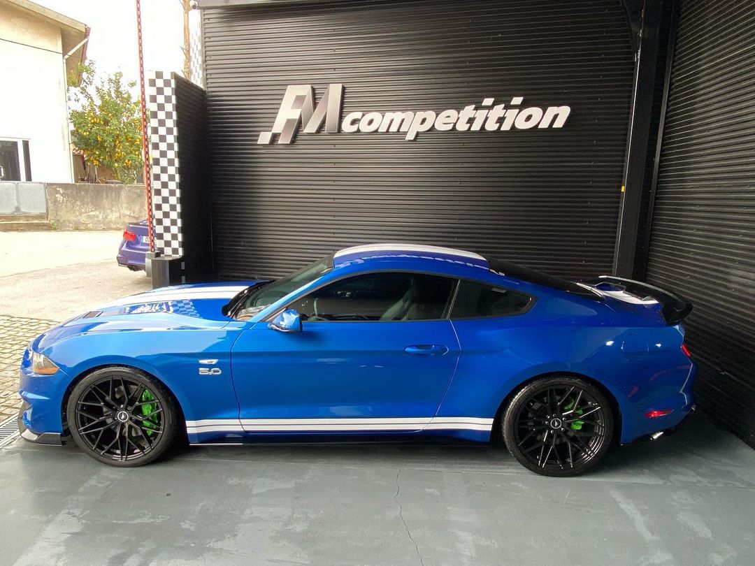 mustang_fmcompetition (9)
